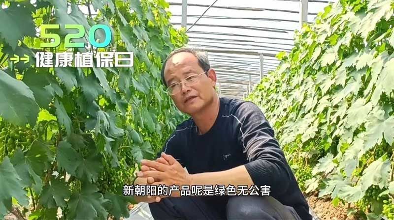 520健康植保日——擁抱綠色農(nóng)業(yè)，我們在行動