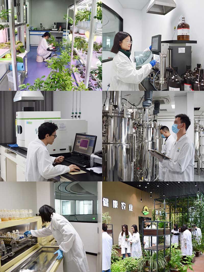 “全國科技工作者日”：推動(dòng)農(nóng)業(yè)綠色高質(zhì)量發(fā)展，新朝陽科研人在路上