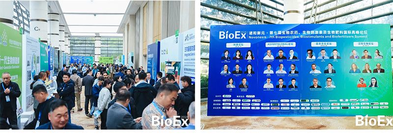 新朝陽亮相BioEx 2026：技術(shù)供給+屬地化協(xié)同，推動高性能生物刺激素高效落地